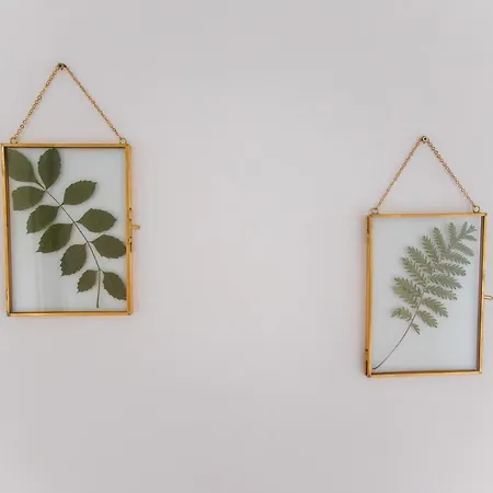 Bohohome Appartement